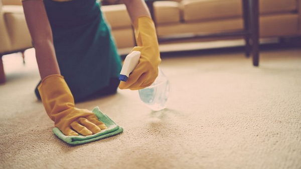 Домашние средства для очистки ковров