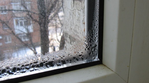 Как забыть о конденсате на пластиковых окнах