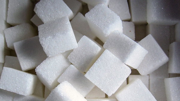 Меньше жира или углеводов? Сахар или заменители? Теперь мы знаем точно