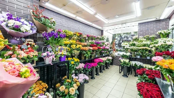 Магазин цветов в БОТАНИКА