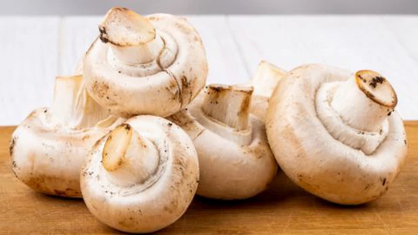 Вот что указывает на то, что шампиньоны испортились: есть их нельзя