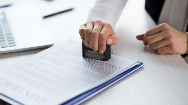 Типичные заблуждения о тендерах, которые мешают бизнесу