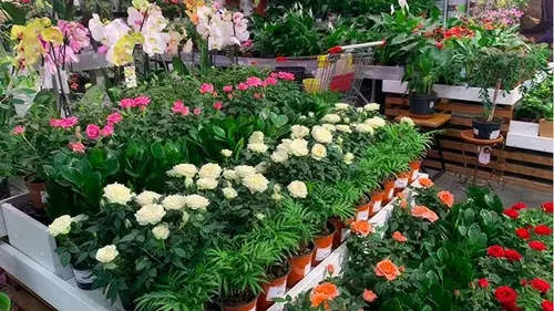 Как происходит доставка букетов в Нижнем Тагиле и районе ГГМ