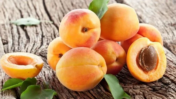 Каждый год не знаю, куда девать урожай: чем удобрять абрикос весной