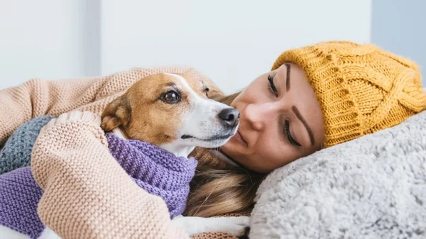 Как понять, что домашний питомец подхватил простуду и чем ему помочь