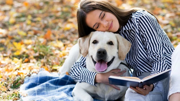 Какой возраст вашей собаки по человеческим меркам: простой способ опре...