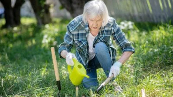 Огородники поделились опытом, что можно посадить в августе: запишите с...