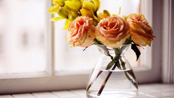 Что делать, чтобы розы дольше стояли: как сохранить розы в вазе?
