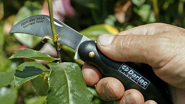 Как заточить садовый нож?