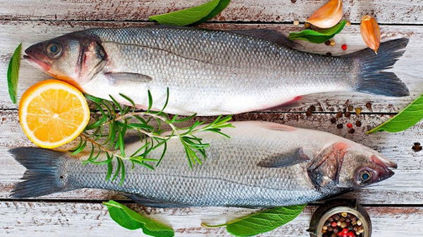 Рыба и почему стоит употреблять рыбу в пищу