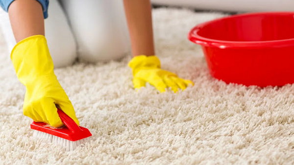 Чистим ковры в домашних условия