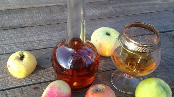 Брага на яблоках — как выбрать фрукты и пошаговые рецепты приготовления