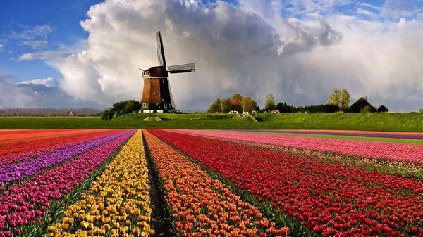 Нидерланды — страна свободы