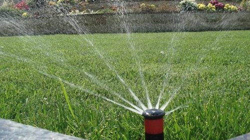 Автоматические системы полива: забота о саде и огороде