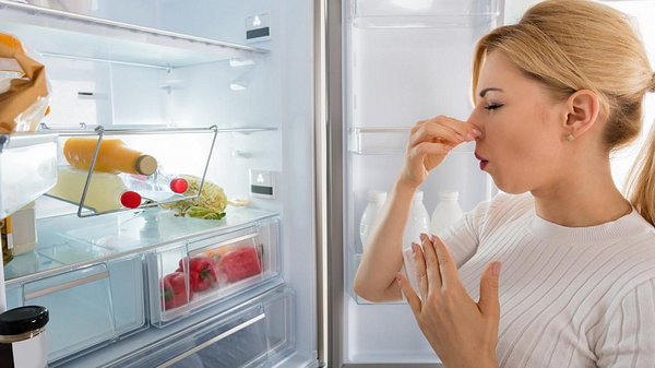 Как устранить неприятный запах из холодильника