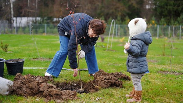 Как посадить дерево и почему этому надо научить ребенка?