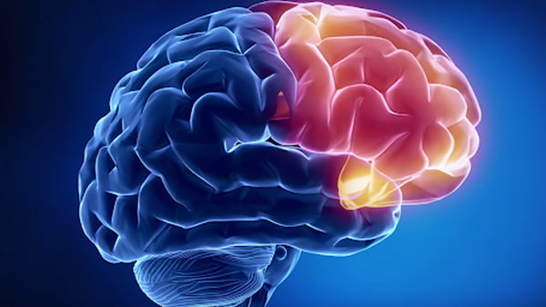 Эффективные способы улучшить работу мозга