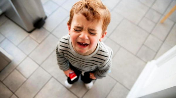 Почему истерика у ребенка – это хорошо. 10 причин