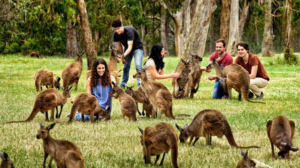 Экотуризм в Австралии