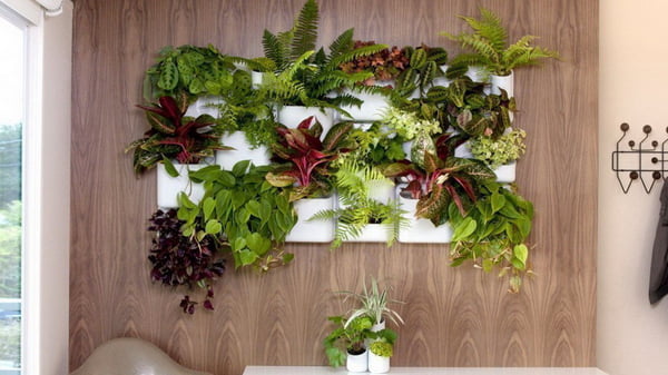 Как подобрать растения для разных помещений дома или квартиры?
