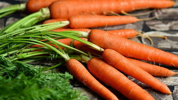 Правила хранения моркови, чтобы она не начала попахивать и покрываться плесенью