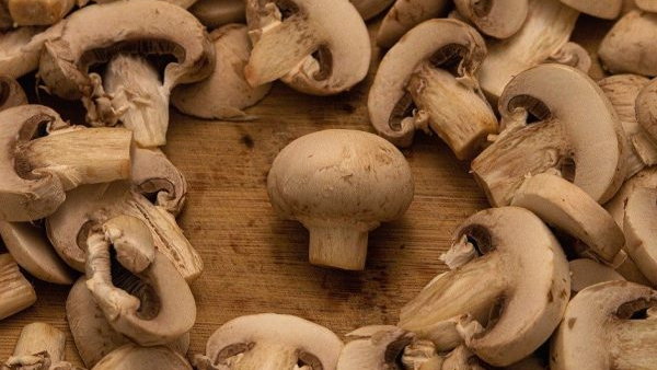 Почему переработка грибов ворует время хозяйки без всякой пользы