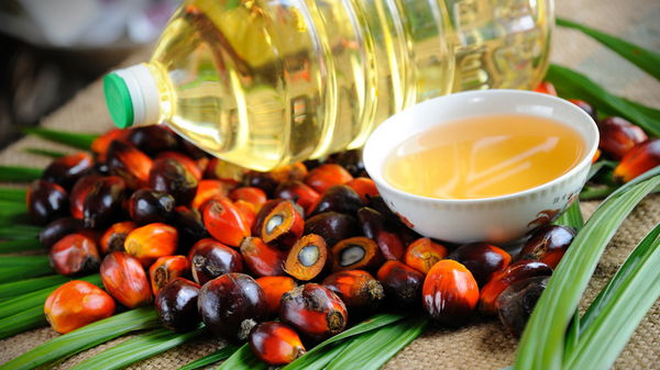 Полезные свойства пальмового масла