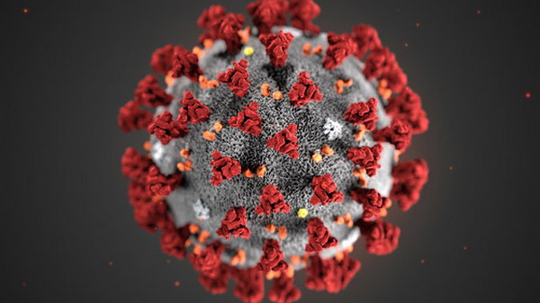 12 фактов про коронавирус: все, что необходимо знать о COVID-19