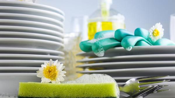 Выбираем органические средства для мытья посуды