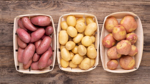 Среднеспелые, среднепоздние и поздние сорта картофеля